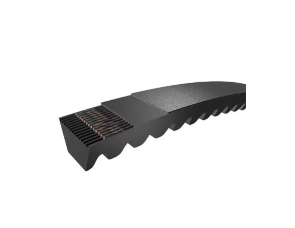CORREIA BX51 - SKF